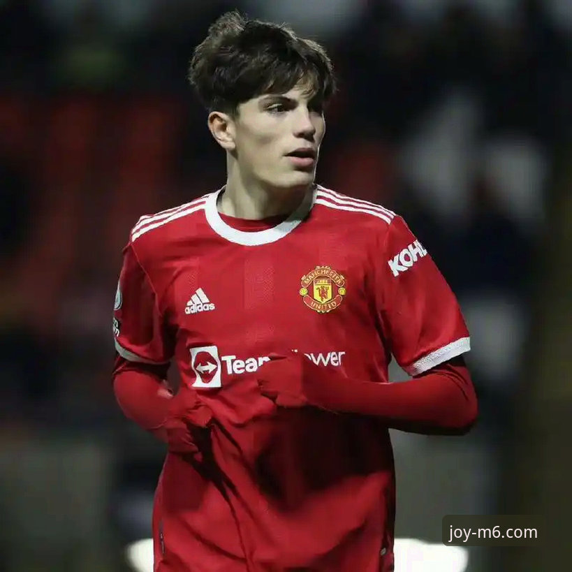 M6娱乐手机客户端 阿根廷新星重伤无缘世界杯事件详解